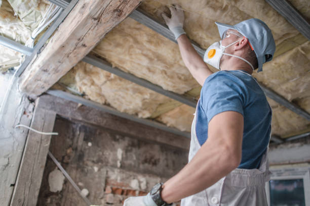 Best Commercial Insulation in Flint Hill, MO